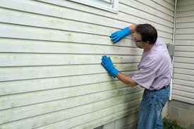 Best Historical Building Siding Restoration  in Sorrento, LA